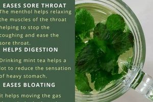 Unlock Mint Herbal Tea Benefits Today! The Ultimate Herbal Remedies Guide: Natural Healing for a Healthier Life Unlock Mint Herbal Tea Benefits Today! | The Ultimate Herbal Remedies Guide: Natural Healing for a Healthier Life