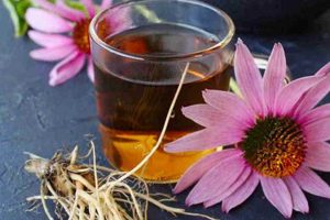 Boost Immunity: Echinacea Herbal Tea Benefits & Uses Safem Fabrication - Precision Engineering & Custom Manufacturing Solutions Boost Immunity: Echinacea Herbal Tea Benefits & Uses | Safem Fabrication - Precision Engineering & Custom Manufacturing Solutions
