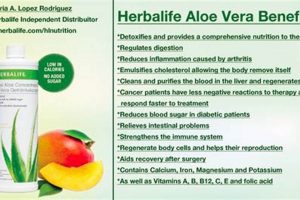 Unlock Herbal Aloe Concentrate Benefits Today! The Ultimate Herbal Remedies Guide: Natural Healing for a Healthier Life Unlock Herbal Aloe Concentrate Benefits Today! | The Ultimate Herbal Remedies Guide: Natural Healing for a Healthier Life