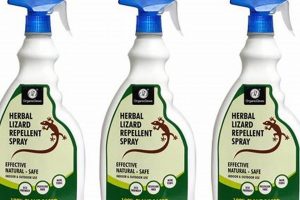 Natural Herbal Lizard Repellent: Safe & Effective The Ultimate Herbal Remedies Guide: Natural Healing for a Healthier Life Natural Herbal Lizard Repellent: Safe & Effective | The Ultimate Herbal Remedies Guide: Natural Healing for a Healthier Life
