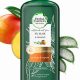 Best Shampoo Herbal Essences Sin Sal: Guide & Benefits | The Ultimate Herbal Remedies Guide: Natural Healing for a Healthier Life