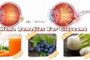 Natural Herbal Remedies for Glaucoma Relief The Ultimate Herbal Remedies Guide: Natural Healing for a Healthier Life Natural Herbal Remedies for Glaucoma Relief | The Ultimate Herbal Remedies Guide: Natural Healing for a Healthier Life