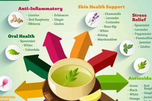 Unlocking Herbal Teas Benefits: A Natural Boost Safem Fabrication - Precision Engineering & Custom Manufacturing Solutions Unlocking Herbal Teas Benefits: A Natural Boost | Safem Fabrication - Precision Engineering & Custom Manufacturing Solutions