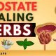 Natural Choice: Best Herbal for Prostate Support (Guide) | The Ultimate Herbal Remedies Guide: Natural Healing for a Healthier Life