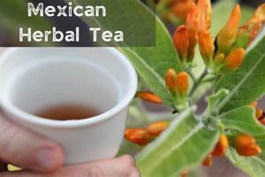 Discover Mexican Herbal Teas: Tradition & Benefits Safem Fabrication - Precision Engineering & Custom Manufacturing Solutions Discover Mexican Herbal Teas: Tradition & Benefits | Safem Fabrication - Precision Engineering & Custom Manufacturing Solutions