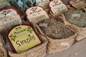 Natural Herbal Remedies Store: Your Wellness Destination The Ultimate Herbal Remedies Guide: Natural Healing for a Healthier Life Natural Herbal Remedies Store: Your Wellness Destination | The Ultimate Herbal Remedies Guide: Natural Healing for a Healthier Life