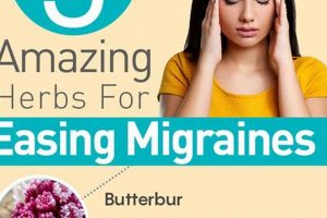 Natural Herbal Treatment for Migraine Relief Tips The Ultimate Herbal Remedies Guide: Natural Healing for a Healthier Life Natural Herbal Treatment for Migraine Relief Tips | The Ultimate Herbal Remedies Guide: Natural Healing for a Healthier Life