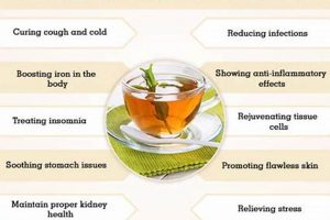 Sip Well: Key Benefits of Drinking Herbal Tea Today! The Ultimate Herbal Remedies Guide: Natural Healing for a Healthier Life Sip Well: Key Benefits of Drinking Herbal Tea Today! | The Ultimate Herbal Remedies Guide: Natural Healing for a Healthier Life
