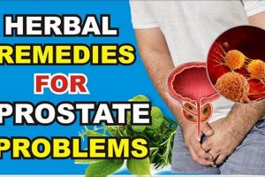 Natural Herbal Remedies for Prostate Problems: Benefits & Risks The Ultimate Herbal Remedies Guide: Natural Healing for a Healthier Life Natural Herbal Remedies for Prostate Problems: Benefits & Risks | The Ultimate Herbal Remedies Guide: Natural Healing for a Healthier Life