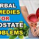 Natural Herbal Remedies for Prostate Problems: Benefits & Risks | The Ultimate Herbal Remedies Guide: Natural Healing for a Healthier Life