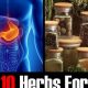 Natural Relief: Best Herbal for Acid Reflux (Quick Guide) | The Ultimate Herbal Remedies Guide: Natural Healing for a Healthier Life