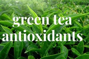 Boost Wellness: Herbal Tea with Antioxidants & Benefits Safem Fabrication - Precision Engineering & Custom Manufacturing Solutions Boost Wellness: Herbal Tea with Antioxidants & Benefits | Safem Fabrication - Precision Engineering & Custom Manufacturing Solutions