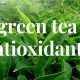 Boost Wellness: Herbal Tea with Antioxidants & Benefits | The Ultimate Herbal Remedies Guide: Natural Healing for a Healthier Life