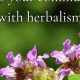 Exploring: Commonwealth Herbalism for Natural Healing | The Ultimate Herbal Remedies Guide: Natural Healing for a Healthier Life
