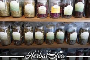 Your Guide to a Great Herbal Tea Store: Find Best Blends The Ultimate Herbal Remedies Guide: Natural Healing for a Healthier Life Your Guide to a Great Herbal Tea Store: Find Best Blends | The Ultimate Herbal Remedies Guide: Natural Healing for a Healthier Life