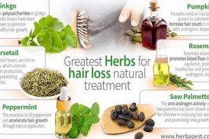 Best Herbal Remedies for Alopecia: Natural Hair Boost The Ultimate Herbal Remedies Guide: Natural Healing for a Healthier Life Best Herbal Remedies for Alopecia: Natural Hair Boost | The Ultimate Herbal Remedies Guide: Natural Healing for a Healthier Life