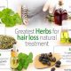 Best Herbal Remedies for Alopecia: Natural Hair Boost | The Ultimate Herbal Remedies Guide: Natural Healing for a Healthier Life