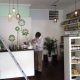 Find Your Local Herbal Store Brooklyn: Remedies & More | The Ultimate Herbal Remedies Guide: Natural Healing for a Healthier Life