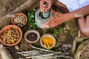 Ancient Indian Herbal Medicines: Uses & Benefits The Ultimate Herbal Remedies Guide: Natural Healing for a Healthier Life Ancient Indian Herbal Medicines: Uses & Benefits | The Ultimate Herbal Remedies Guide: Natural Healing for a Healthier Life
