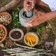 Ancient Indian Herbal Medicines: Uses & Benefits | The Ultimate Herbal Remedies Guide: Natural Healing for a Healthier Life