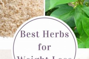 Best Herbal Supplements to Lose Weight Fast [Guide] | The Ultimate Herbal Remedies Guide: Natural Healing for a Healthier Life