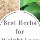 Best Herbal Supplements to Lose Weight Fast [Guide] | The Ultimate Herbal Remedies Guide: Natural Healing for a Healthier Life