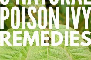Natural Poison Ivy Herbal Treatment: Relief & Remedies The Ultimate Herbal Remedies Guide: Natural Healing for a Healthier Life Natural Poison Ivy Herbal Treatment: Relief & Remedies | The Ultimate Herbal Remedies Guide: Natural Healing for a Healthier Life