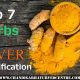 Natural Boost: Herbal Liver Detoxification Support | The Ultimate Herbal Remedies Guide: Natural Healing for a Healthier Life