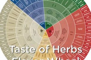 Best Herbal Flavors: Natural Tastes & More Safem Fabrication - Precision Engineering & Custom Manufacturing Solutions Best Herbal Flavors: Natural Tastes & More | Safem Fabrication - Precision Engineering & Custom Manufacturing Solutions