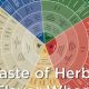 Best Herbal Flavors: Natural Tastes &amp; More | The Ultimate Herbal Remedies Guide: Natural Healing for a Healthier Life