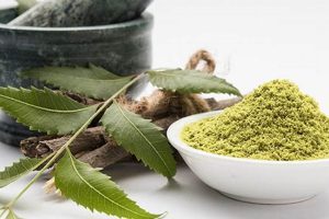 Unlocking Neem Herbal Benefits: Nature's Powerhouse Safem Fabrication - Precision Engineering & Custom Manufacturing Solutions Unlocking Neem Herbal Benefits: Nature's Powerhouse | Safem Fabrication - Precision Engineering & Custom Manufacturing Solutions