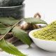Unlocking Neem Herbal Benefits: Nature's Powerhouse | Safem Fabrication - Precision Engineering & Custom Manufacturing Solutions