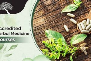 Boost Your Wellness: Herbal Medicine Course Online Safem Fabrication - Precision Engineering & Custom Manufacturing Solutions Boost Your Wellness: Herbal Medicine Course Online | Safem Fabrication - Precision Engineering & Custom Manufacturing Solutions