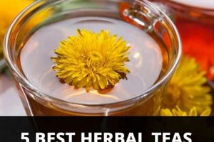 Best Herbal Tea for Kidney Health: Support & Cleanse The Ultimate Herbal Remedies Guide: Natural Healing for a Healthier Life Best Herbal Tea for Kidney Health: Support & Cleanse | The Ultimate Herbal Remedies Guide: Natural Healing for a Healthier Life