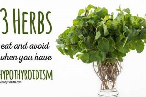 Supplements & Levothyroxine: Herbs to AVOID! The Ultimate Herbal Remedies Guide: Natural Healing for a Healthier Life Supplements & Levothyroxine: Herbs to AVOID! | The Ultimate Herbal Remedies Guide: Natural Healing for a Healthier Life
