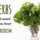 Supplements &amp; Levothyroxine: Herbs to AVOID! | The Ultimate Herbal Remedies Guide: Natural Healing for a Healthier Life
