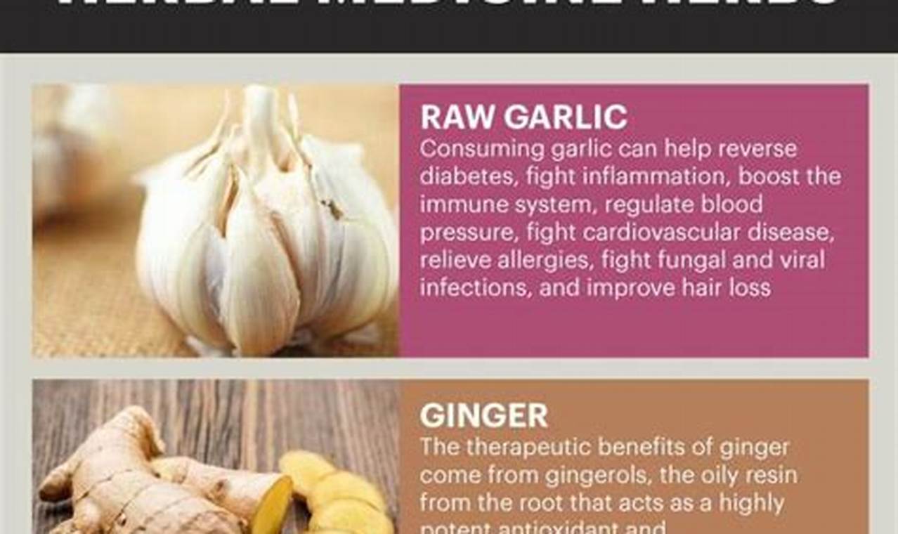 Unlock the Benefits of Herbal Remedies Today! The Ultimate Herbal Remedies Guide: Natural Healing for a Healthier Life Unlock the Benefits of Herbal Remedies Today! | The Ultimate Herbal Remedies Guide: Natural Healing for a Healthier Life