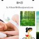 Natural Anxiety Relief: Herbal Remedies Guide | The Ultimate Herbal Remedies Guide: Natural Healing for a Healthier Life