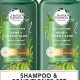 Buy Herbal Essences Shampoo on Amazon: Deals &amp; More! | The Ultimate Herbal Remedies Guide: Natural Healing for a Healthier Life