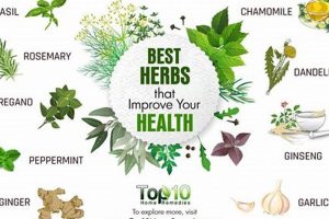 Top-Rated Best Herbals : Your Guide to Natural Remedies The Ultimate Herbal Remedies Guide: Natural Healing for a Healthier Life Top-Rated Best Herbals : Your Guide to Natural Remedies | The Ultimate Herbal Remedies Guide: Natural Healing for a Healthier Life