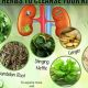 Top Herbs: The Best Herbal for Kidney Health Support Tips | The Ultimate Herbal Remedies Guide: Natural Healing for a Healthier Life