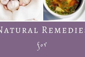 Natural Herbal Remedies for Head Cold: Quick Relief Safem Fabrication - Precision Engineering & Custom Manufacturing Solutions Natural Herbal Remedies for Head Cold: Quick Relief | Safem Fabrication - Precision Engineering & Custom Manufacturing Solutions