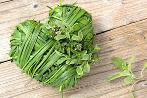 Shop Barlow Herbal Remedies - Natural Wellness Now! The Ultimate Herbal Remedies Guide: Natural Healing for a Healthier Life Shop Barlow Herbal Remedies - Natural Wellness Now! | The Ultimate Herbal Remedies Guide: Natural Healing for a Healthier Life