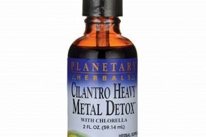 The Truth About Cilantro Detox? | Planetary Herbals Guide The Ultimate Herbal Remedies Guide: Natural Healing for a Healthier Life The Truth About Cilantro Detox? | Planetary Herbals Guide | The Ultimate Herbal Remedies Guide: Natural Healing for a Healthier Life
