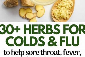 Natural Herbal Cold Medicine: Relief & Remedies The Ultimate Herbal Remedies Guide: Natural Healing for a Healthier Life Natural Herbal Cold Medicine: Relief & Remedies | The Ultimate Herbal Remedies Guide: Natural Healing for a Healthier Life
