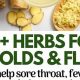 Natural Herbal Cold Medicine: Relief & Remedies | The Ultimate Herbal Remedies Guide: Natural Healing for a Healthier Life