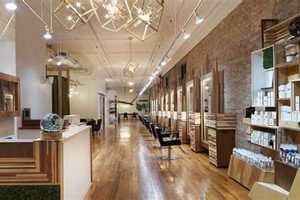 Natural Herbal Salon: Your Botanical Oasis The Ultimate Herbal Remedies Guide: Natural Healing for a Healthier Life Natural Herbal Salon: Your Botanical Oasis | The Ultimate Herbal Remedies Guide: Natural Healing for a Healthier Life