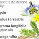 Boost & Balance: Herbal Testosterone Supplements Guide | The Ultimate Herbal Remedies Guide: Natural Healing for a Healthier Life