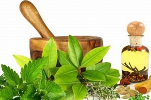 Top Herbal Companies: Find Trusted Herbal Remedies The Ultimate Herbal Remedies Guide: Natural Healing for a Healthier Life Top Herbal Companies: Find Trusted Herbal Remedies | The Ultimate Herbal Remedies Guide: Natural Healing for a Healthier Life
