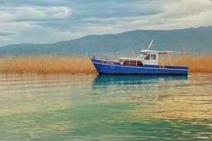 Natural Herbal Seasickness Remedies: Relief Guide! The Ultimate Herbal Remedies Guide: Natural Healing for a Healthier Life Natural Herbal Seasickness Remedies: Relief Guide! | The Ultimate Herbal Remedies Guide: Natural Healing for a Healthier Life